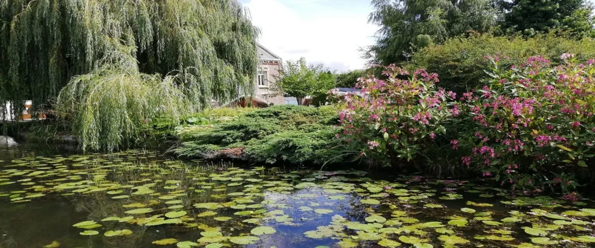 Foto 4 Barques des hortillonnages