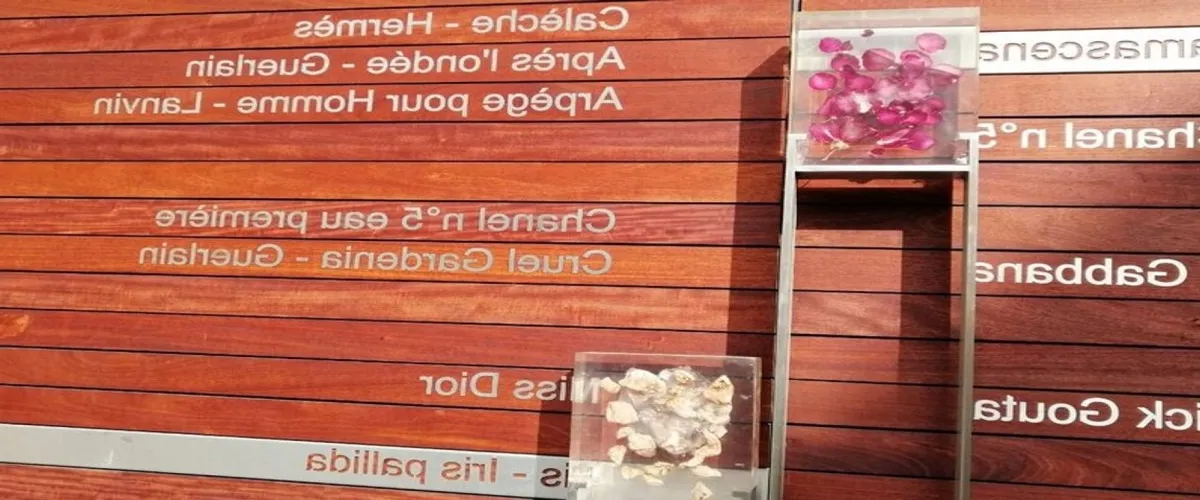 Foto 2 Cathedrale Saint Louis