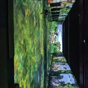 Foto de Bassins des Lumières