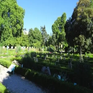 Foto de Jardin de l