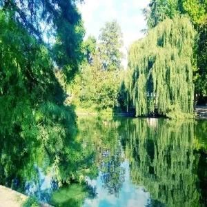 Foto de Jardin Public