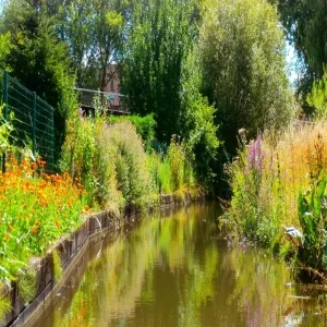 Foto de Les Hortillonnages d