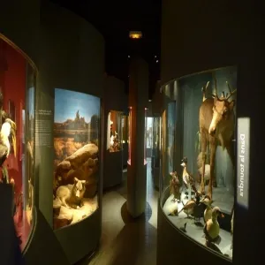 Foto de Muséum d