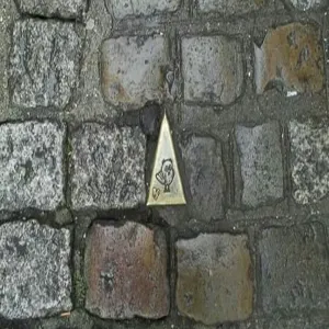 Foto de Owl