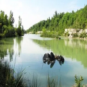 Foto de Parc de l