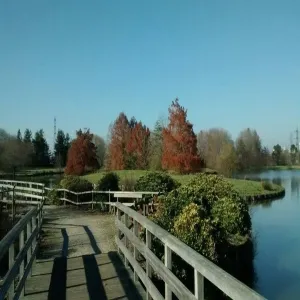 Foto de Parc Floral de Bordeaux Lac