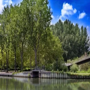 Foto de Parc Saint-Pierre