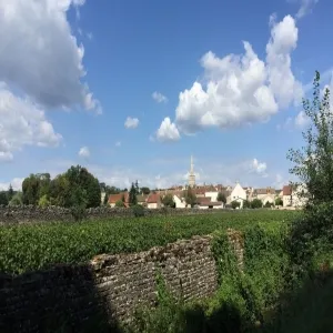 Foto de Route des Grands Crus