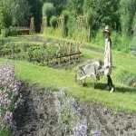 Foto 5 Barques des hortillonnages