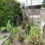 Foto 5 Fort Balaguier
