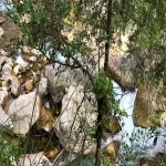 Foto 4 Gorges du Loup
