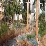 Foto 4 Villa Fragonard