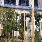 Foto 5 Villa Fragonard